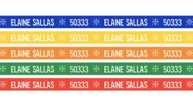 Capa de Elaine Sallas