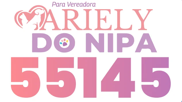 Capa de Ariely do NIPA