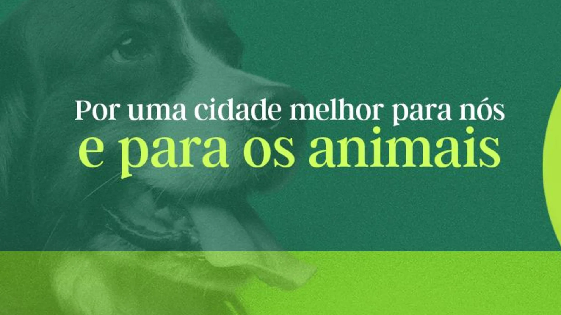 Capa de Cris Moraes