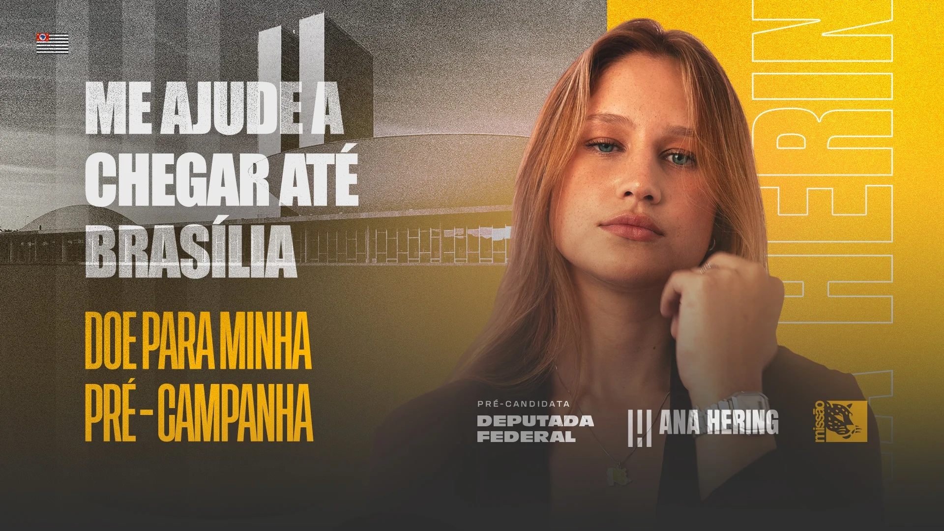 Capa de Ana Hering