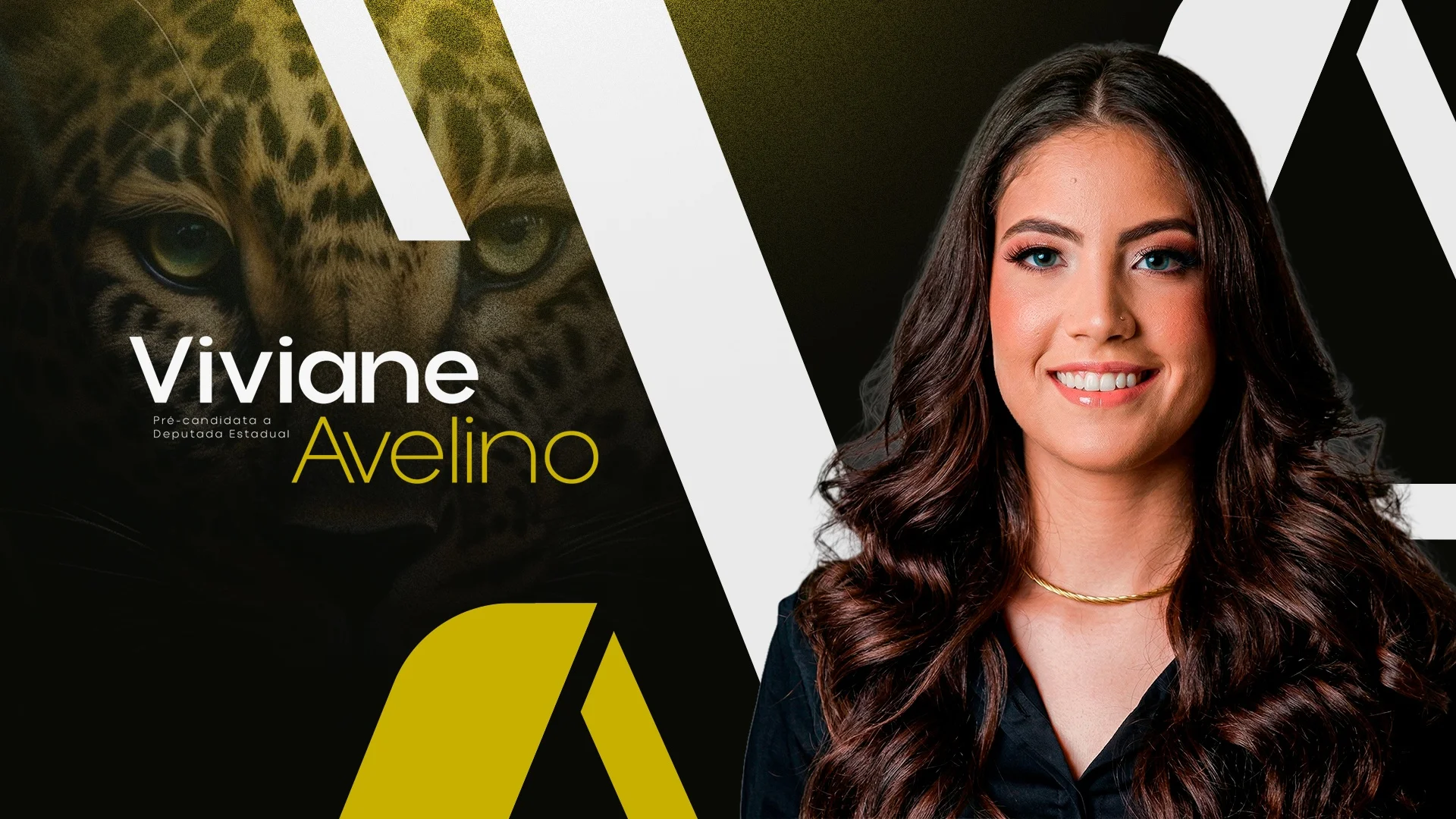Capa de Viviane Avelino