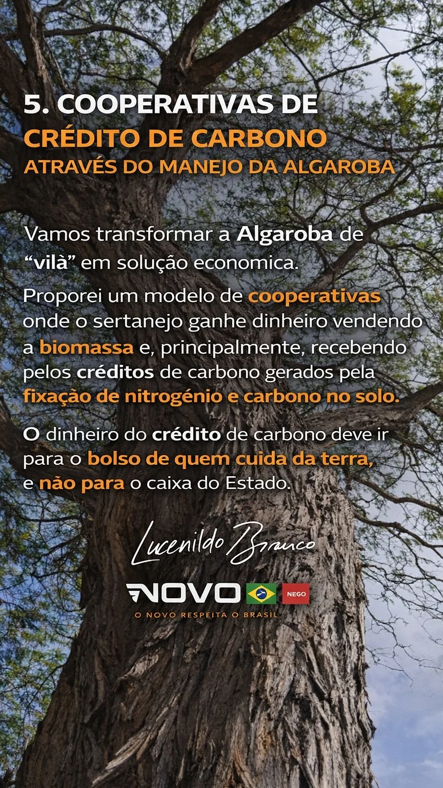 Imagem da campanha