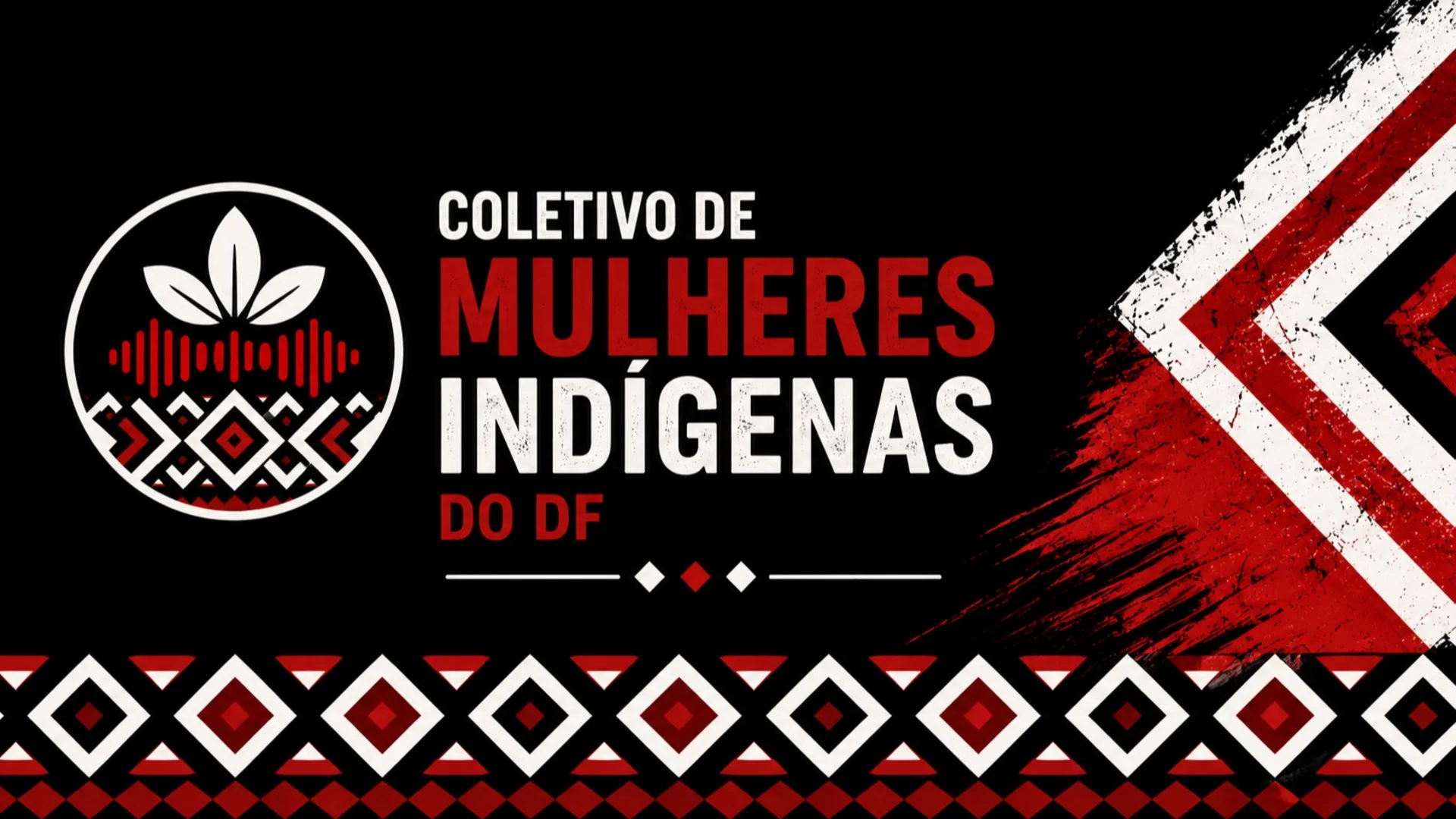 Capa de Coletivo Mulheres Indígenas do DF